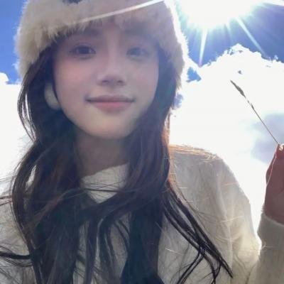 最后的飞行
